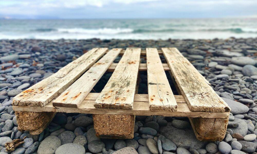 palety-plesn-grzyby-blog