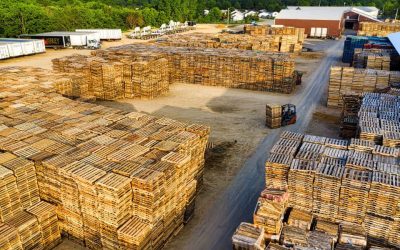 Pooling palet (współdzielenie) – co to jest i na czym polega?