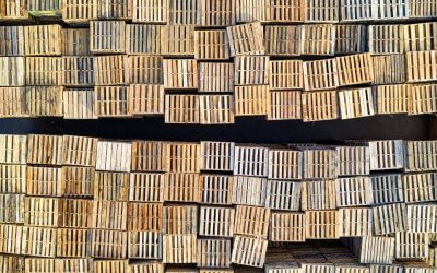 Produkcja palet drewnianych – jak powstają? Materiały, gatunki i proces krok po kroku.